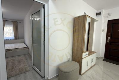 Apartament cu 2 camere decomandat, mobilat în Carei - 6