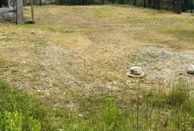 Spațiu comercial, în Jiblea Nouă - 2