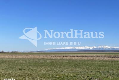 Spațiu comercial, în Cristian