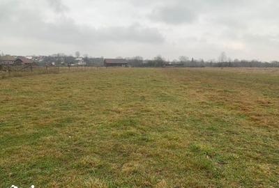 Teren de 2600 mp, în Marginea - 9
