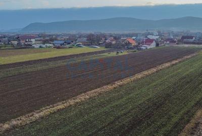 Comision 0%! Teren 17 000 mp, front 45 ml la drum national, utilitaiti in fata - 5