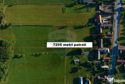 Casă cu 3 camere cu Teren 7255 Mp în Vama Buzăului - 14