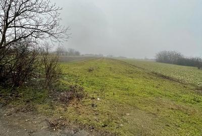 Spațiu comercial, în Sălciile - 5