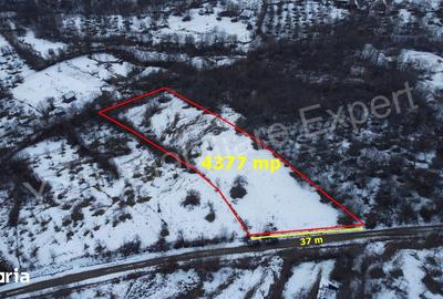 Teren de 4377 mp, în Bradu - 8