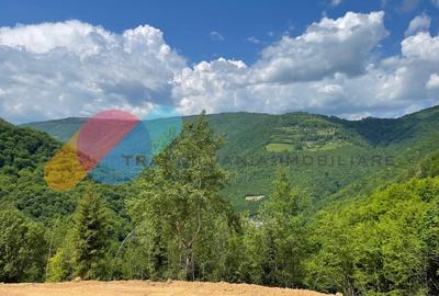 Teren 2200 mp, intravilan, zona Somesul Rece - 6