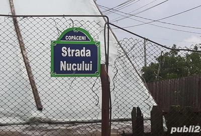 Teren de 644 mp, în Copăceni - 6