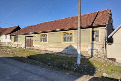 Casă cu 4 camere cu Teren 2500 Mp în Moniom - 1