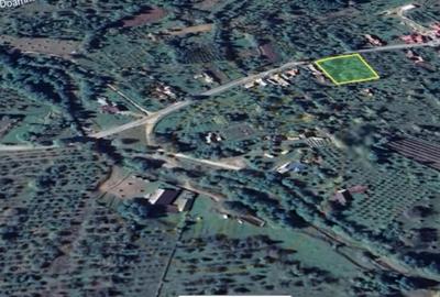 Teren Construcții intravilan de 3097 mp, în Corbi - 2