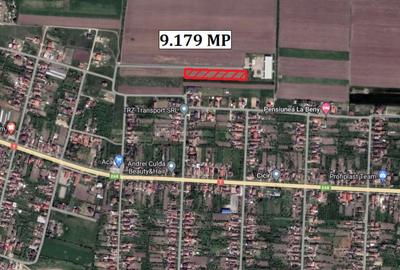 Teren de 9179 mp, în Cicir - 1