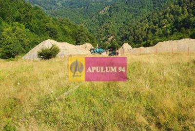 Teren Jude?ul Valcea - Brezoi, Valea lui Stan - 11