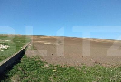 Teren de 3600 mp, în Lețcani - 1