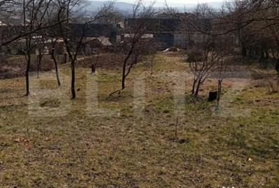 Casă cu 4 camere cu Teren 3000 Mp în Central