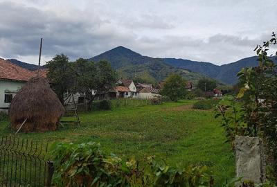 Teren de 36000 mp, în Prundu Bârgăului - 4