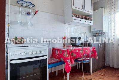 Ap. 2 camere in Deva, zona Balcescu, suprafata utila 56 mp, decomandat, etaj 4. - 19