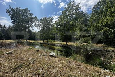 Teren, 12 000 mp, zona Crasna - 1