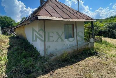 Casă cu 2 camere cu Teren 3200 Mp în Traian - 14