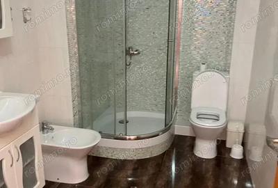 Apartament cu o camera de inchiriat in zona Buziasului - 1