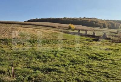 Casă cu 3 camere cu Teren 1900 Mp în Bărdești - 6