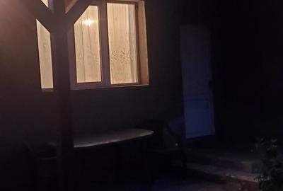 Casă cu 3 camere cu Teren 1709 Mp în Scărișoara Nouă - 2