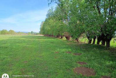 Teren Construcții extravilan de 3400 mp, în Lisa - 1