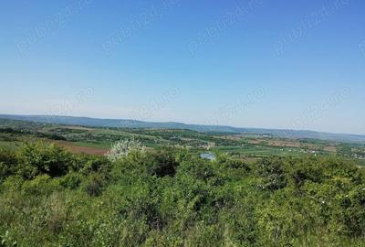 Teren de 350 mp, în Cercu - 5