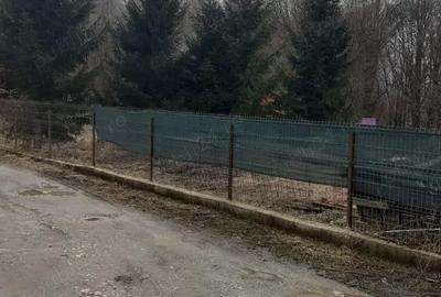 Casă cu 2 camere în Chiuzbaia - 2