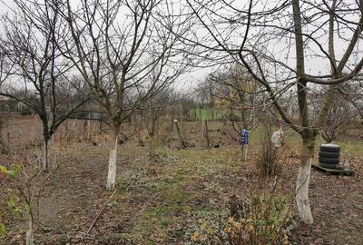 Casă cu Teren 1200 Mp în Gratia - 4