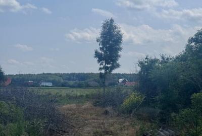 Teren generos, intravilan, 13.518 mp, Marginea - 2