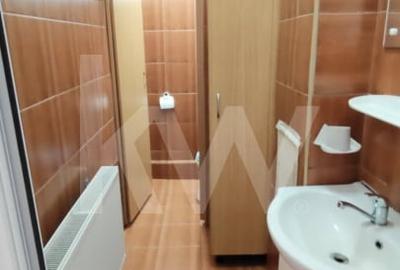 SPATIU COMERCIAL DE INCHIRIAT VALEA AURIE - 8