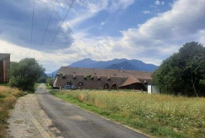 Teren de 1500 mp, în Glăjărie - 5