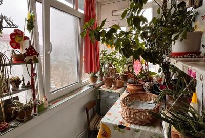 Ap. 3 camere decomandat - Pers. fizică  - Str. Petre Țuțea, zona Nicolina 1 - 7