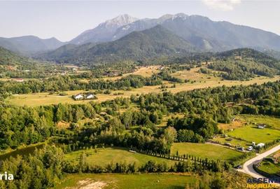 Spațiu comercial, în Cheile Râșnoavei - 2