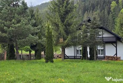 Casă cu 7 camere cu Teren 2000 Mp în Mălini - 14