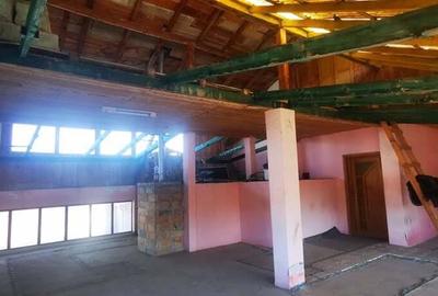 100 EURO mp apartament 100mp cu mansarda 50mp terase 40 mp curte 300mp negociabil - 13