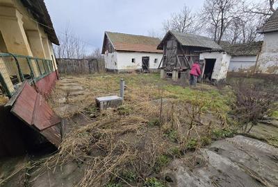 Casă individuală cu 3 camere cu Teren 7900 Mp în Boiu - 3
