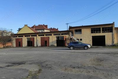 Teren de 3929 mp, în Cetate - 1