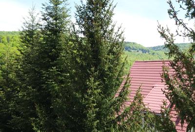 Vanzare casa mare la munte langa padure  Cheia judetul Prahova locatie excelenta - 10