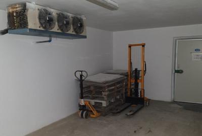 Hala frig/ spatiu str Isaccei zona Dedeman - 2