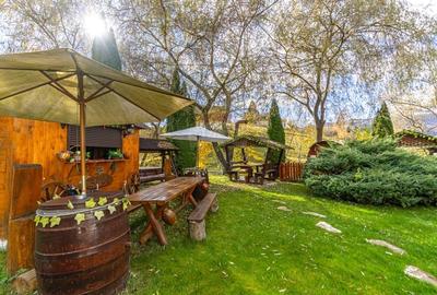 Pensiunea Scarisoara - Refugiul din Inima Rucarului | Comision 0% - 31