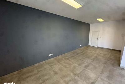 Spațiu comercial, de 45 mp, în Careiului - 3