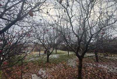 Tomesti - Osoi, vila cu spatiu comercial la parter , 2400mp teren cu iaz si pomi - 11