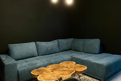 Apartament cu 2 camere decomandat, mobilat în Pipera - 5