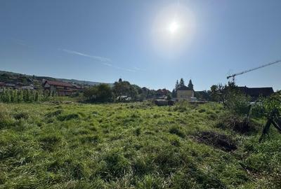 Teren intravilan de vânzare în Chinteni – poziție extra centrală, 2.635 mp - 5