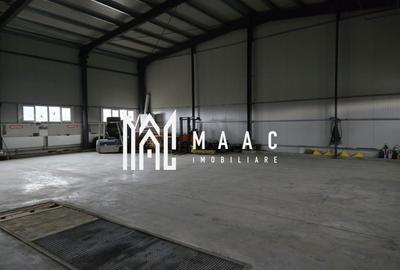 Hală cu Birouri și Teren 12.000 mp I De Vânzare I Bradu I Sibiu - 3