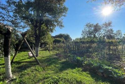 Casa individuala + anexa si gospodarie , 247 mp , 3 nivele, Casa individuala + anexa si gospodarie , 247 mp , 3 nivele, - 13