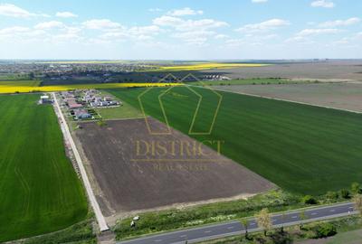 Teren Construcții intravilan de 6182 mp, în Sânandrei - 3