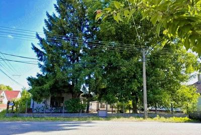 Casa de vanzare la 17 km de ORADEA langa granita - 1