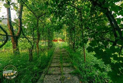 FILM! Peste 800mp teren cu casuta, areal estimabil, Lenin, Sfantu Gheorghe - 10