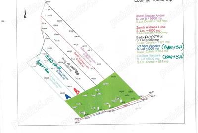 Teren pentru agrement cabana aproape de ?trandul Termal Caciulata - 6