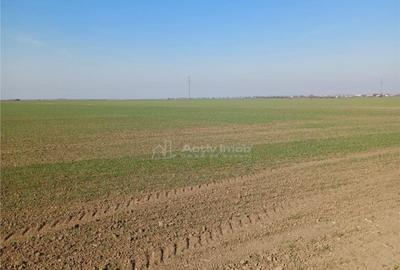 Teren 30250 mp - ideal investitie - - 1